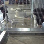 THE TRAY PRODUCTION